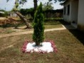 /album/fotogaleria/p1000217-jpg/