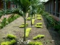 /album/fotogaleria/p1000220-jpg/