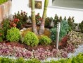 /album/fotogaleria/p1000260-jpg/