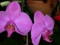 /album/fotogaleria/p1000324-jpg/