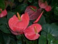 /album/fotogaleria/p1000327-jpg/